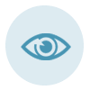 vision